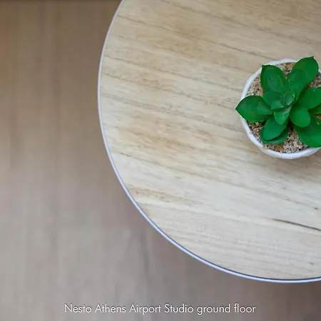 Apartment Nesto Athens Airport