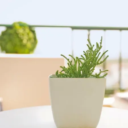 Nesto Athens Airport Apartment